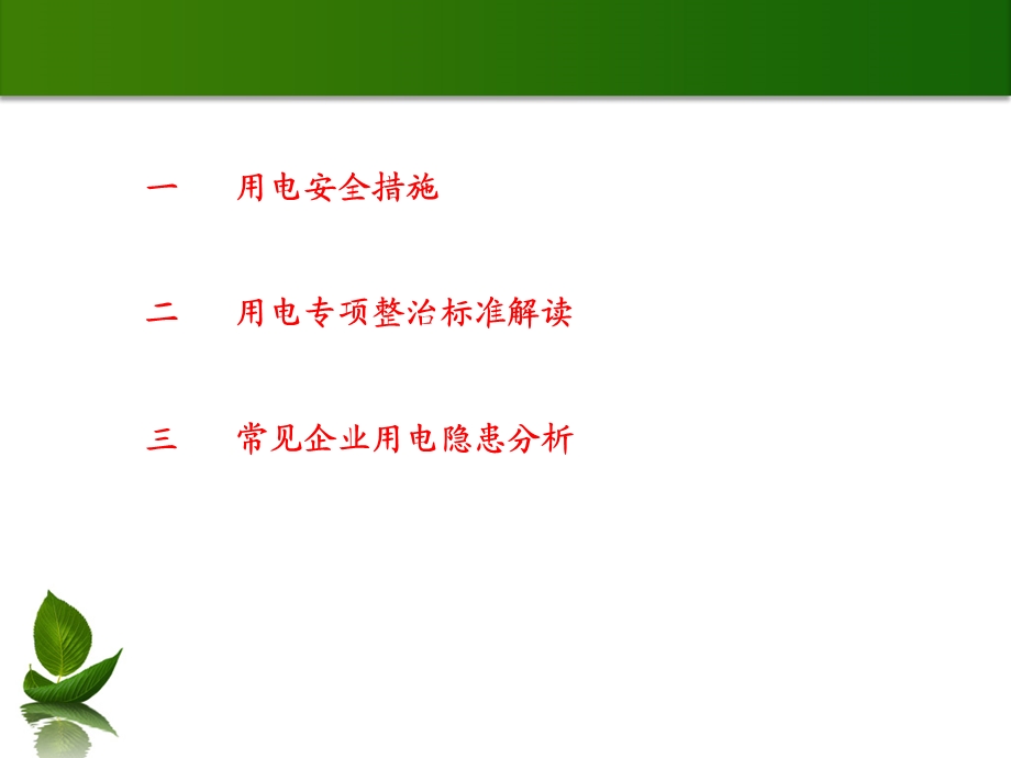 企业用电安全专项整治讲座2.ppt_第2页