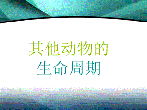 科教版三年级科学下册课件《其他动物的生命周期》 .ppt