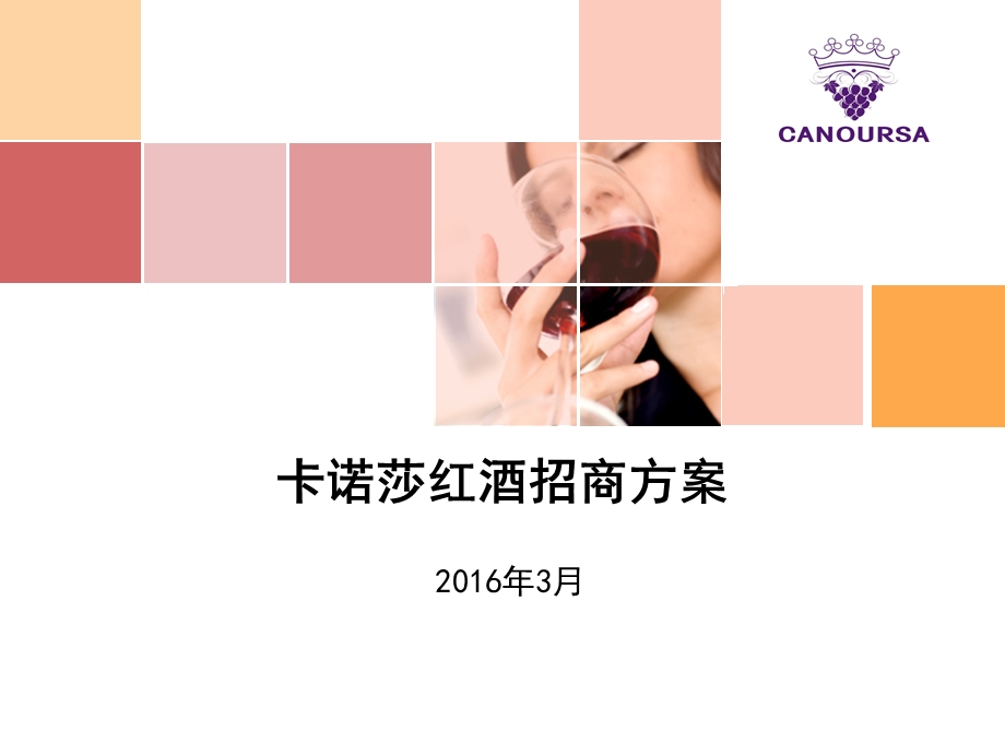 葡萄酒招商方案.ppt_第1页