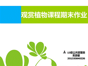 观赏植物课程结课作业PPT.ppt