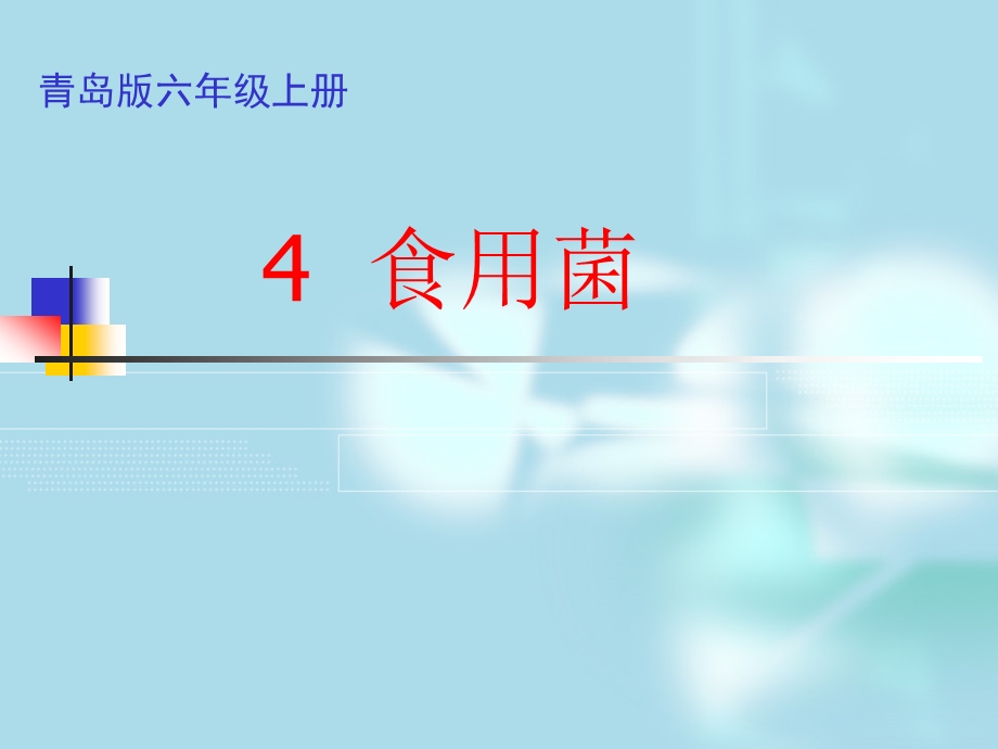 青岛版小学科学六年级上册《食用菌》课件.ppt_第1页