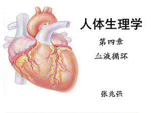 人体生理学第四章血液循环(一).ppt