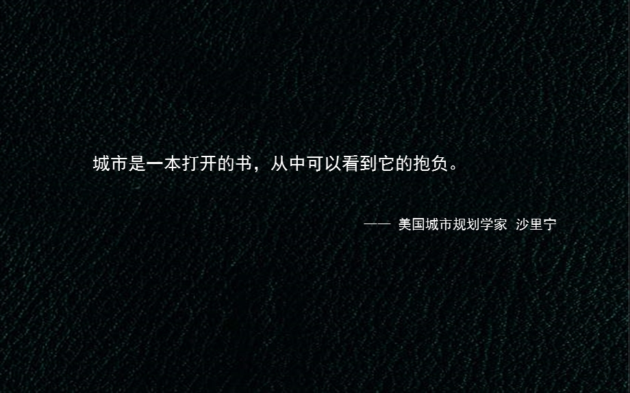 2010年合肥安粮东怡金融广场“中央金融特别行政区”价值体系整合沟通案.ppt_第2页