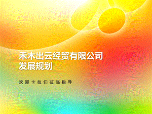 品涵经贸有限公司发展规划.ppt