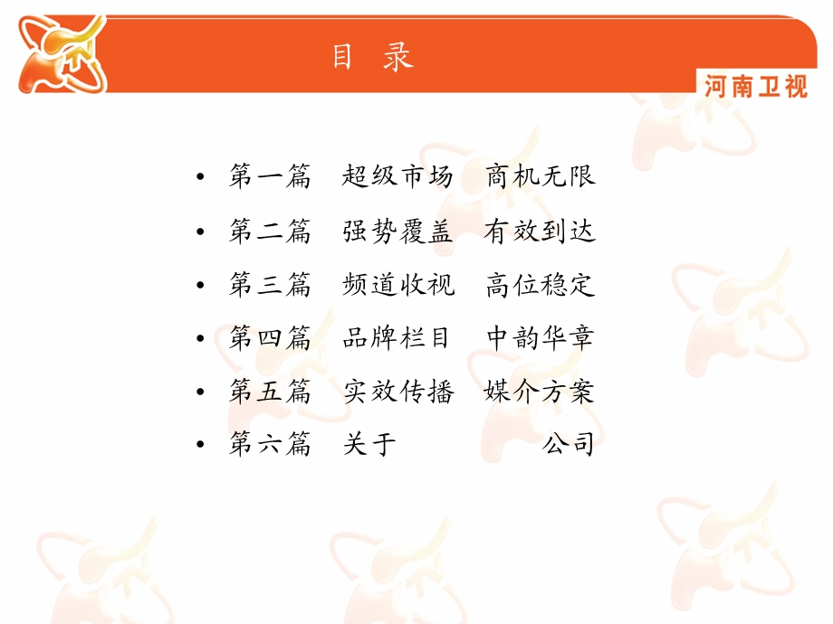 2011年河南卫视广告媒介策划方案(1).ppt_第2页