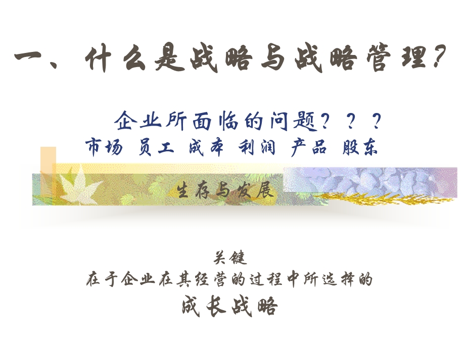 将战略变成行动——战略绩效管理.ppt_第2页