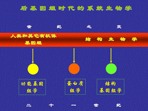 第五章 天然和重组蛋白质结构测定.ppt