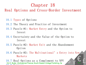 Real ptions and Cross Border Investment(1).ppt