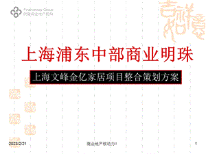 2012上海文峰金亿家居项目整合策划方案.ppt