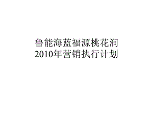 世联2010年海南鲁能海蓝福源桃花涧营销执行计划.ppt