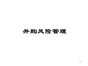 并购风险管理.ppt