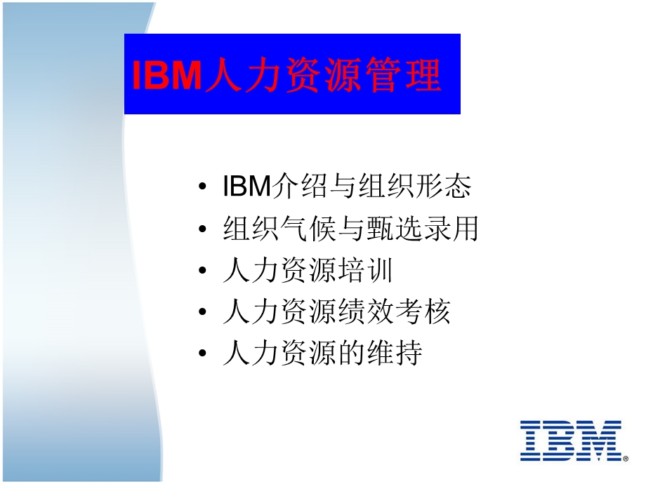 IBM人力资源管理(1).ppt_第2页