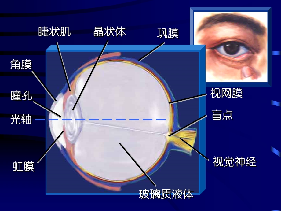 灯光照明讲座色彩的效果及应用培训PPT.ppt_第2页