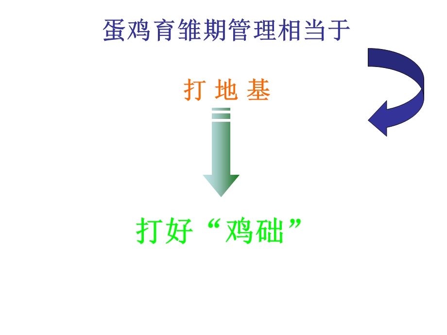 蛋鸡的饲养管理(1).ppt_第3页