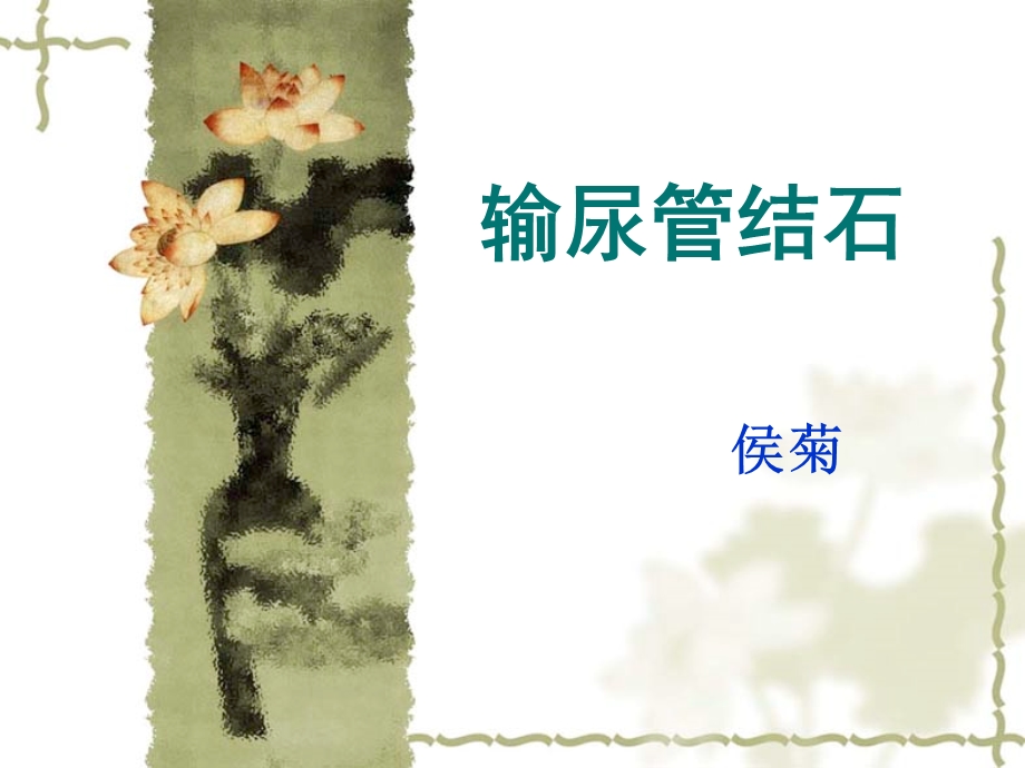 输尿管结石（PPT X页） .ppt_第1页