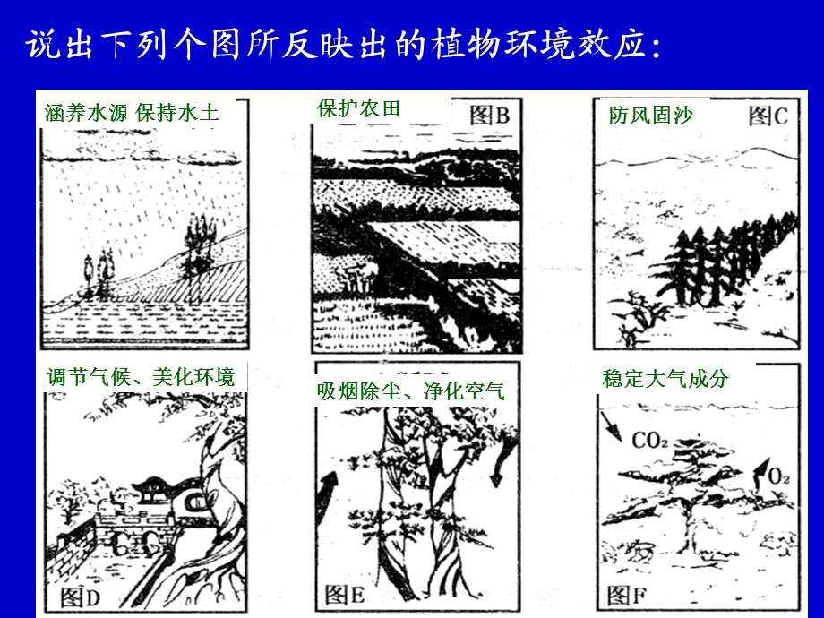 地理：2.2森林的开发和保护.ppt_第3页