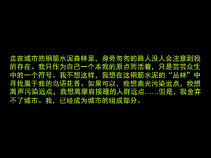 龙公馆1018497186.ppt