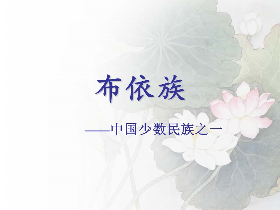 布依族介绍.ppt.ppt_第1页