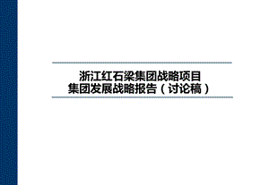 浙江红石梁集团战略项目集团发展战略报告（讨论稿）.ppt