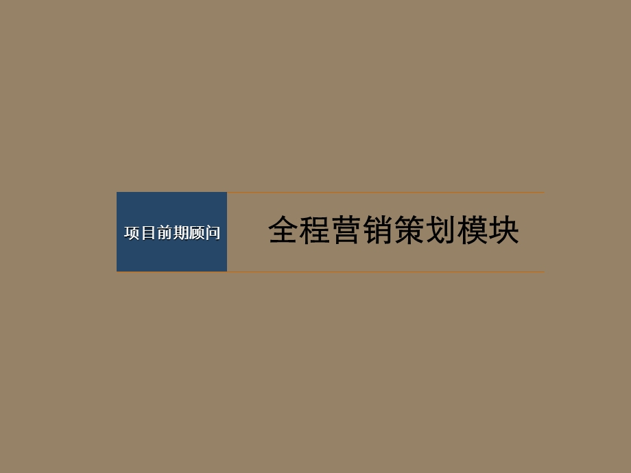 商业地产(项目)全程营销策划重点.ppt_第3页