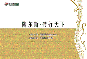 2010陶尔斯·群星演唱晚会方案建议“专行天下”为主题的演唱会.ppt