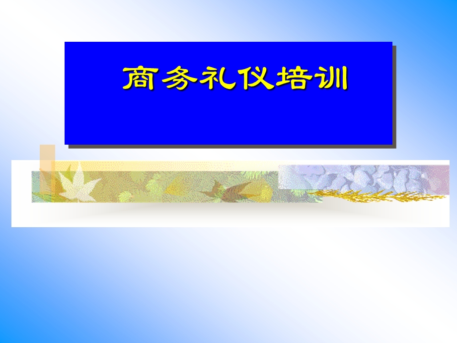 商务礼仪培训(1)(1).ppt_第1页