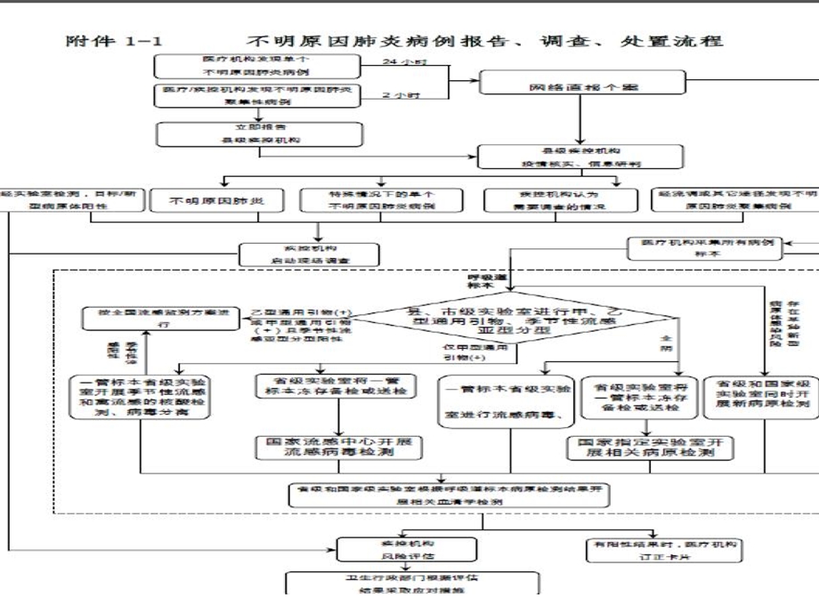 H7N9禽流感培训20130402（2） .ppt_第1页