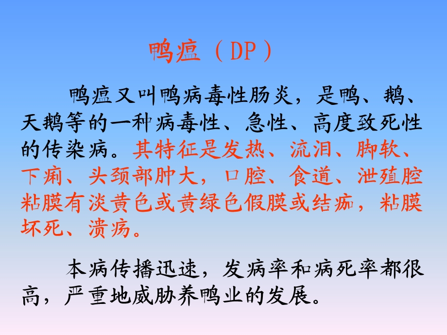 禽病-鸭瘟(DP).ppt_第1页