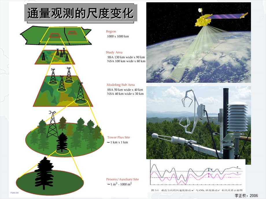 王鹤松_基于通量观测和卫星遥感集成的植被生产力模拟.ppt_第3页