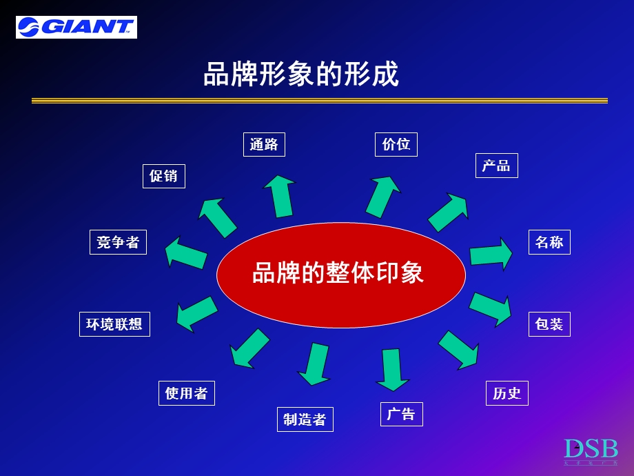 关于捷安特品牌传播的思考.ppt_第2页