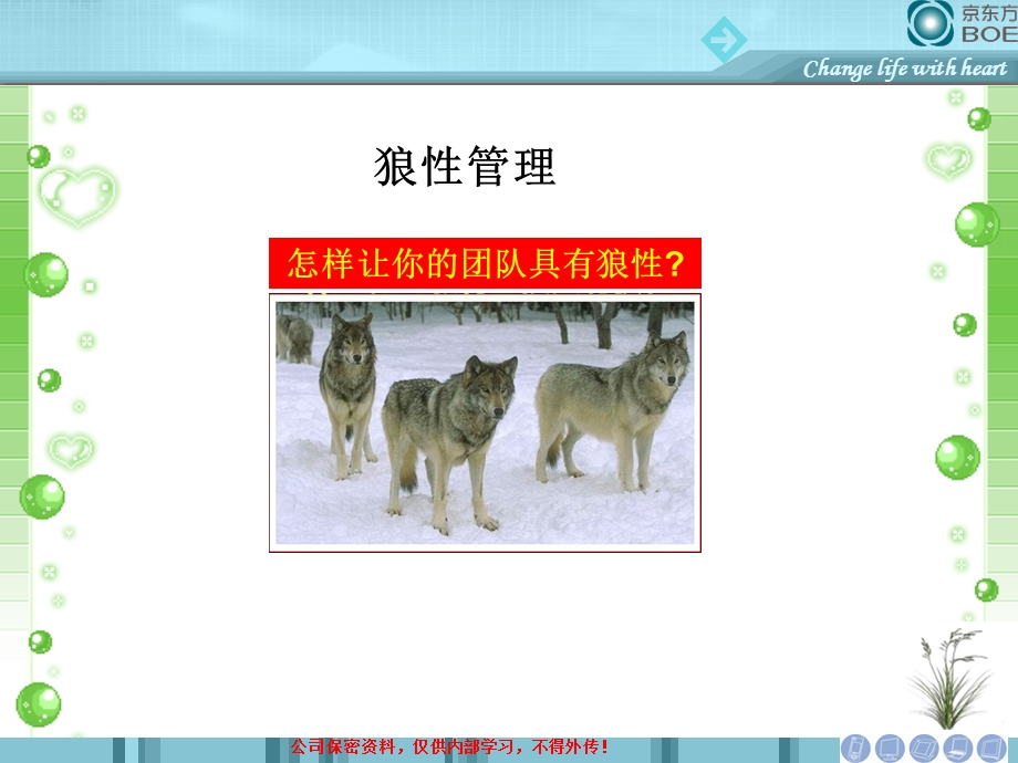 狼性和管理.ppt_第1页