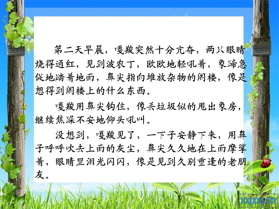 人教版小学语文教学课件《最后一头战象》 .ppt_第2页