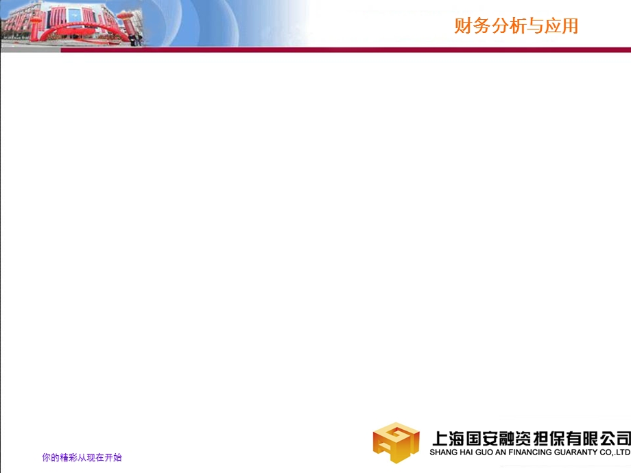 担保公司财务分析与应用.ppt_第1页