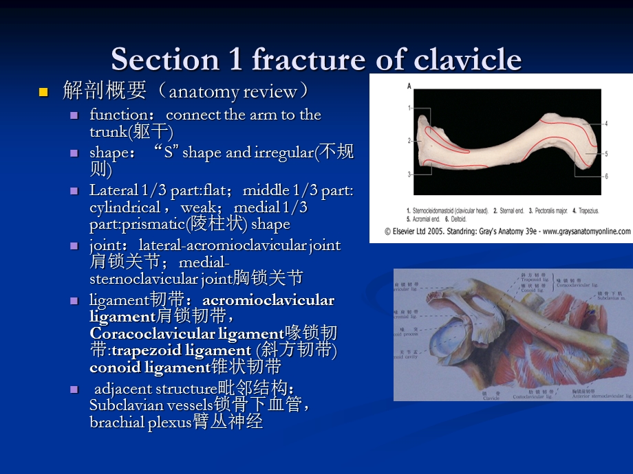 上肢骨折..ppt_第3页