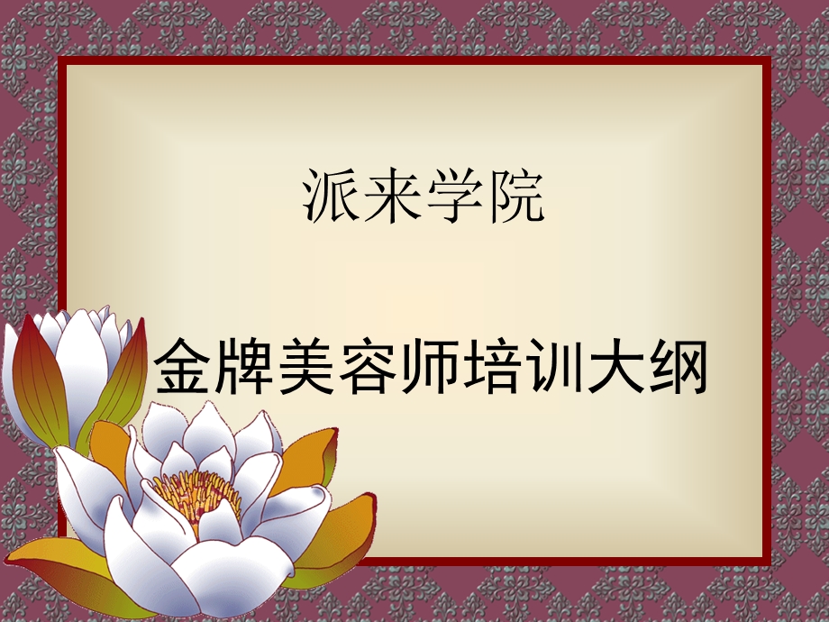 金牌美容师培训幻灯片.ppt_第1页