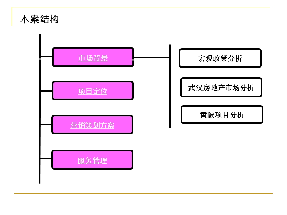 2011年恒信堂武汉木兰广场前期策划提报148P.ppt_第3页