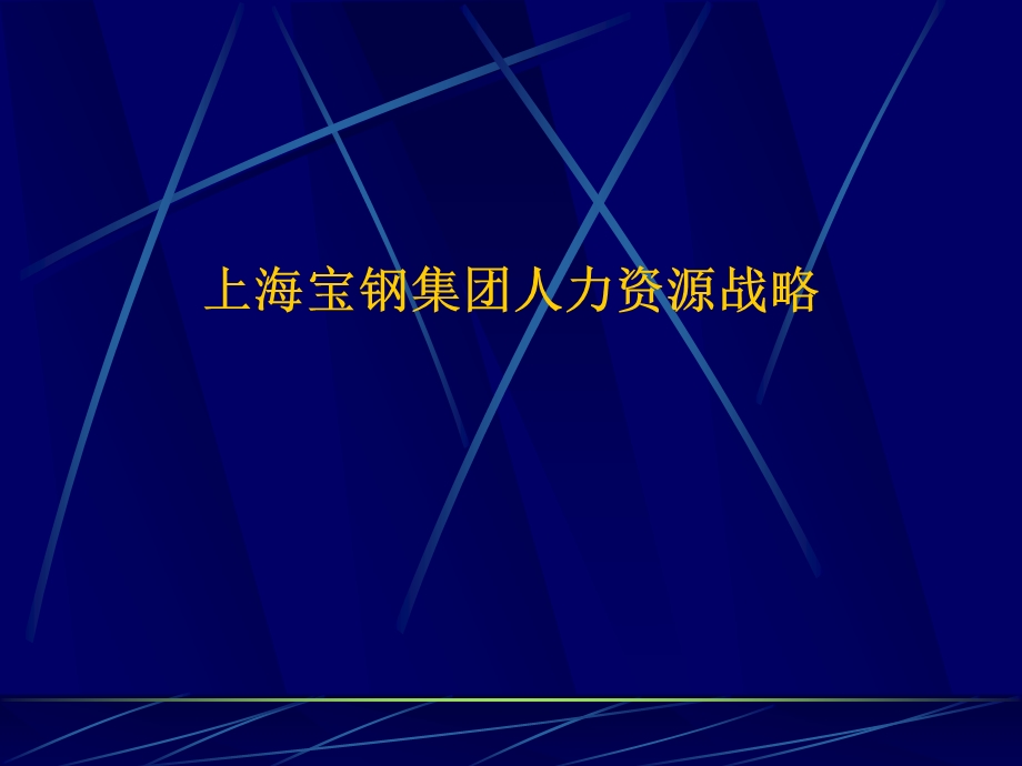 上海宝钢集团人力资源.ppt_第1页