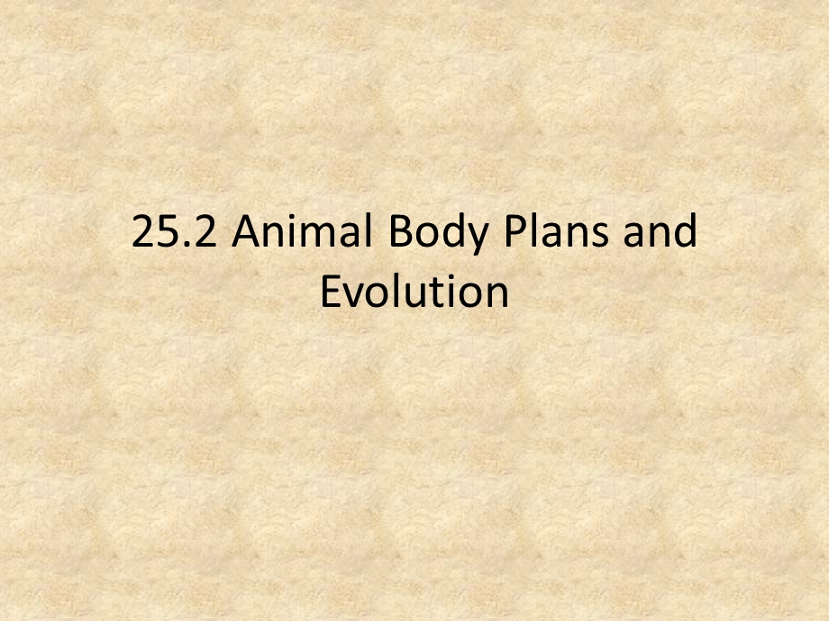 252 animal body plans and evolution - laurelscience - … .ppt_第2页