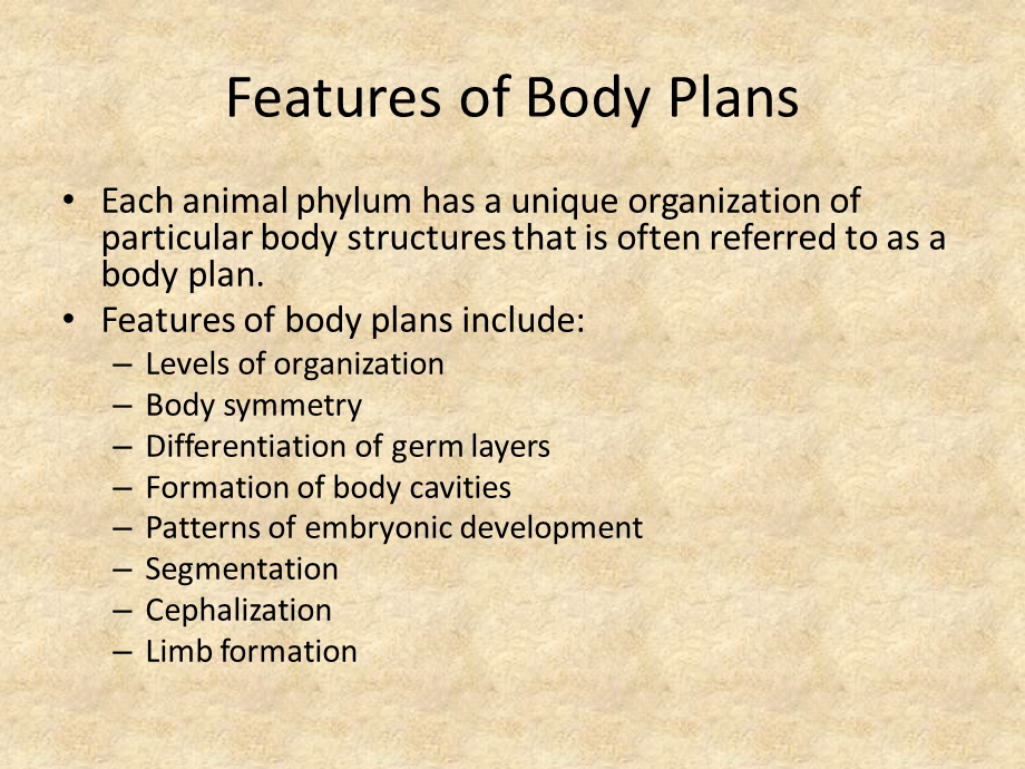 252 animal body plans and evolution - laurelscience - … .ppt_第3页