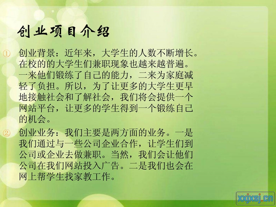 [优质文档]创业项目计划3.ppt_第3页