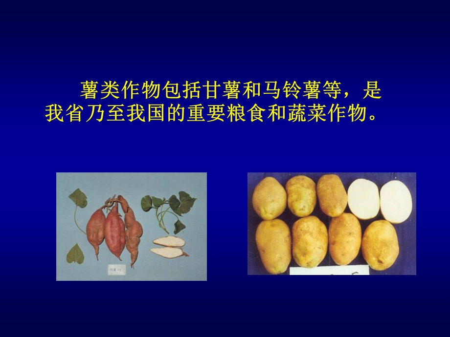 薯类病害（PPT 61页） .ppt_第3页