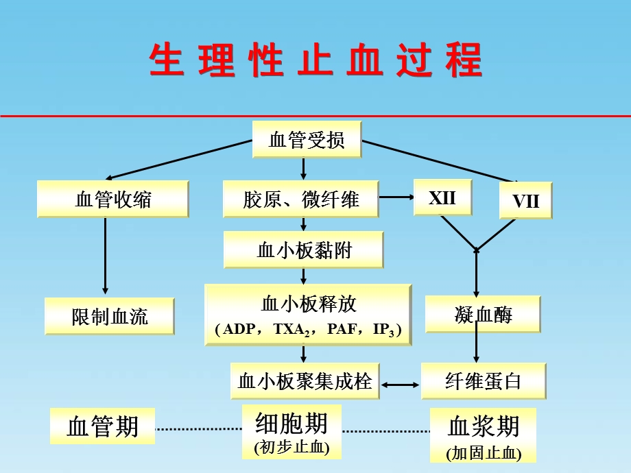 抗血小板药的临床选择(1).ppt_第3页