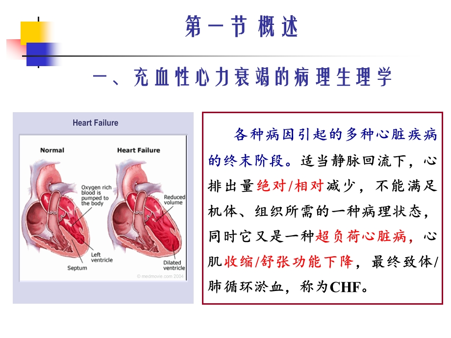 第23章 治疗充血性心力衰竭药物(09级本科).ppt.ppt_第2页