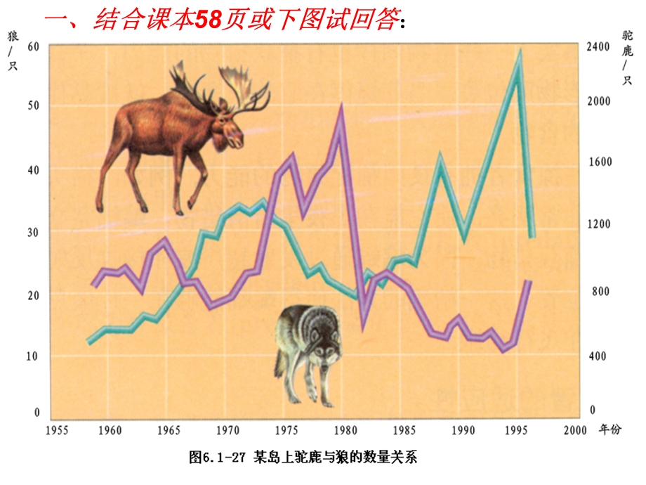 济南版初中生物八年级下册第六单元第五节《生态系统的自我调节》精品教案.ppt_第3页