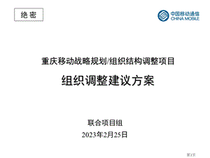 2010重庆移动战略规划组织结构调整项目组织调整建议方案.ppt