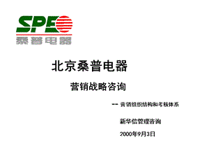 桑普电器营销战略报告.ppt