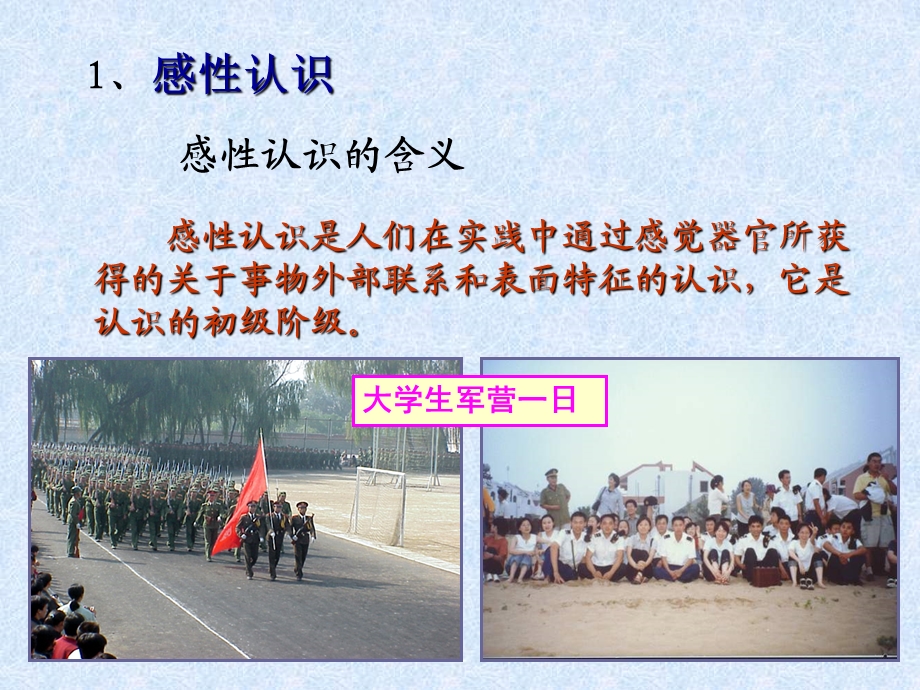 认识运动的基本规律.ppt_第3页