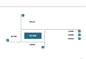 棉阳项目市场研究 2010-48页.ppt
