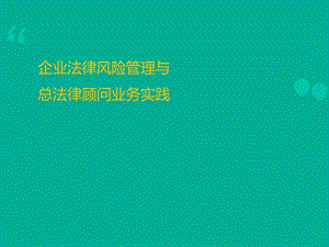 企业法律风险管理与总法律顾问业务实践(律师事务所资料).ppt