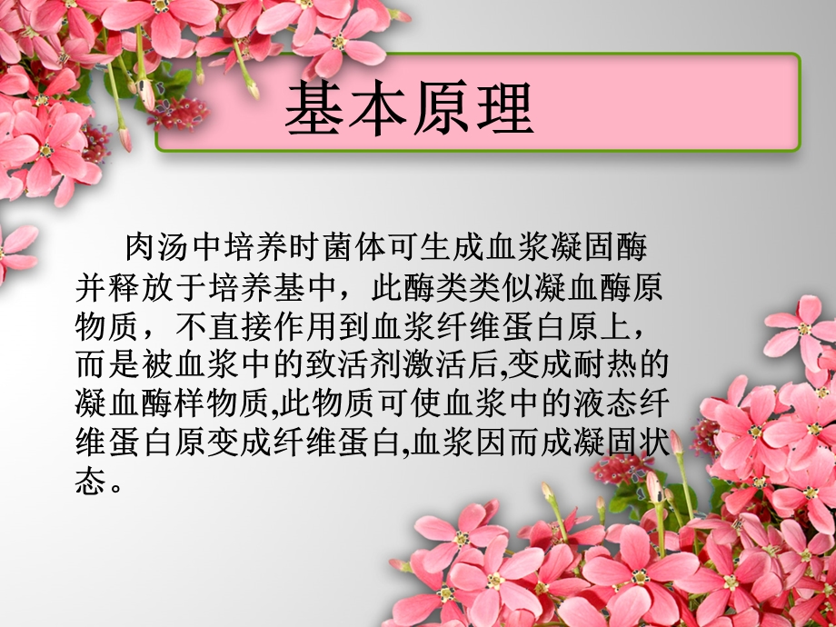 金黄色葡萄球菌的检验.ppt_第3页